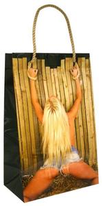 GIFT BAG GIRL TIED TO FENCE