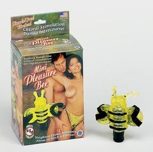 PLEASURE BEE