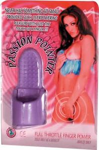 PASSION POINTER LAVENDER