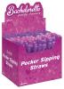 DICKY SIPPING STRAWS 144 PCS