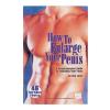 PENIS BOOK 