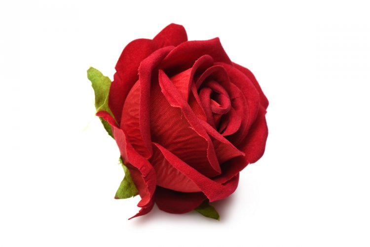 BLOOMGASM THE ROSE LOVERS GIFT BOX RED - XRAH128